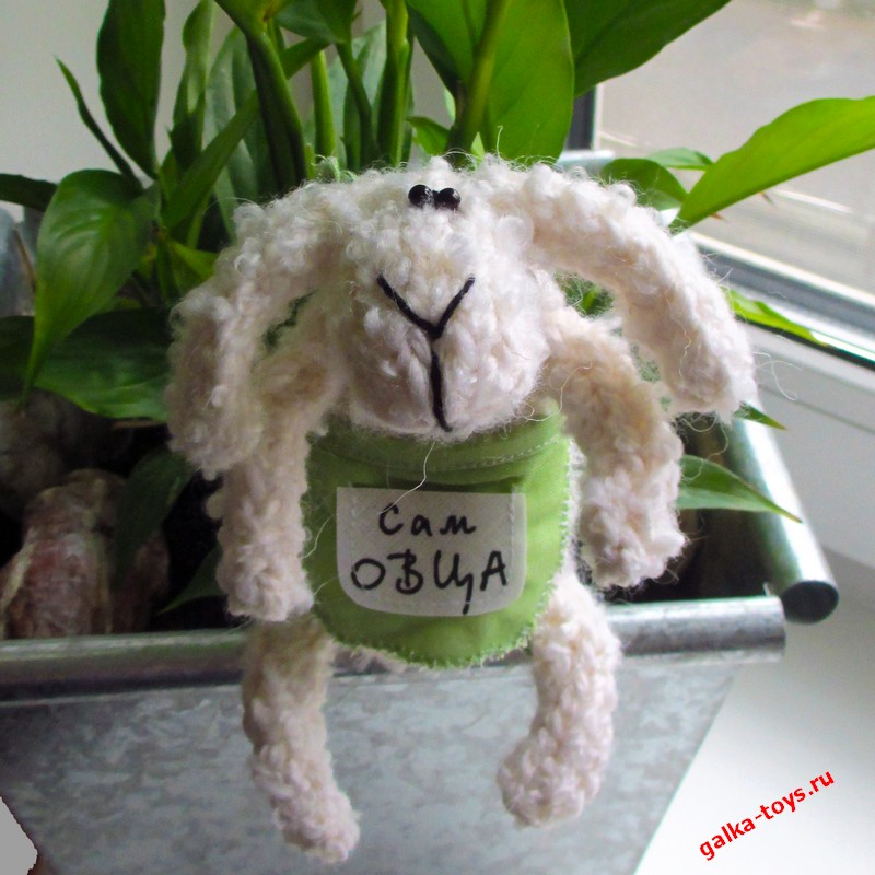 Овечка - "сам овца" — изображение 3
