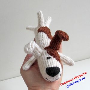 Собака Рекс. Красивый песик