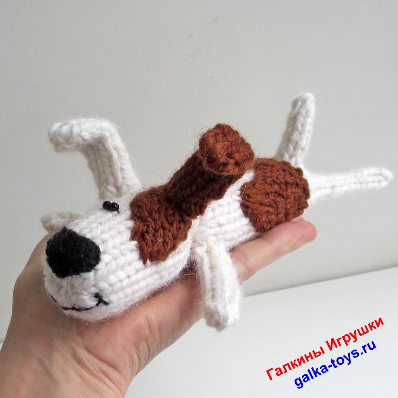 Собака Рекс. Красивый песик — изображение 3