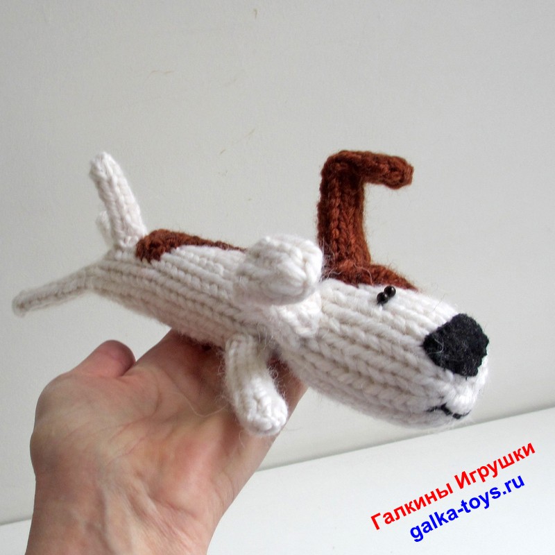 Собака Рекс. Красивый песик — изображение 4