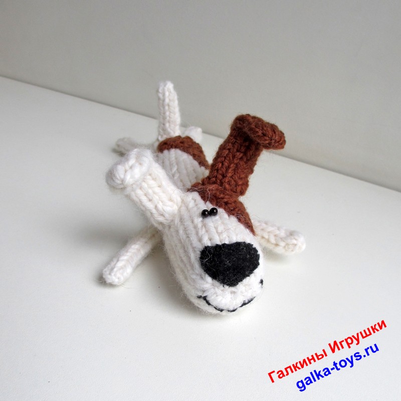 Собака Рекс. Красивый песик — изображение 5