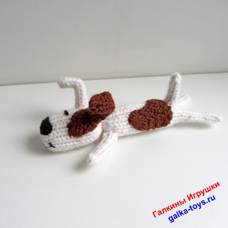 Собака Рекс. Красивый песик — изображение 6