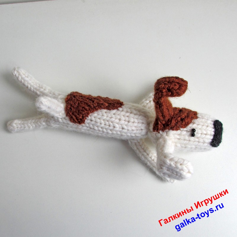 Собака Рекс. Красивый песик — изображение 7