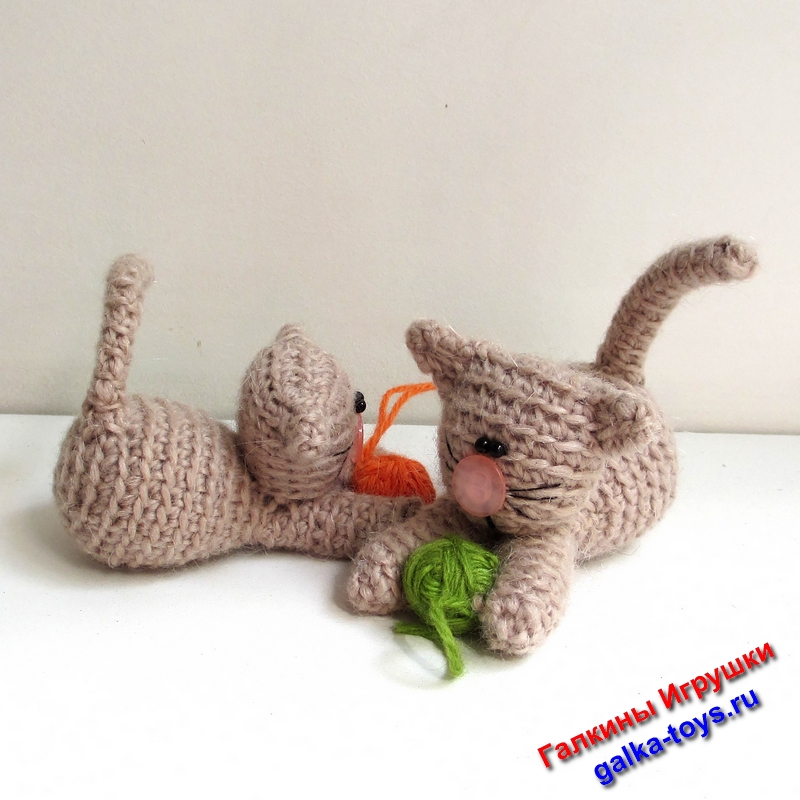 маленькие котенки