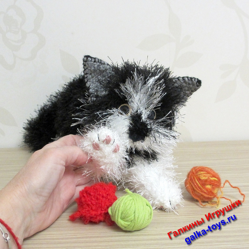 белый кот с черными пятнами