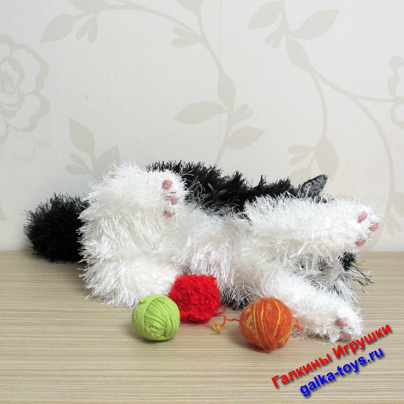 черно белый пушистый кот