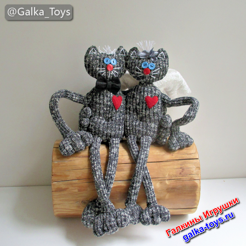 милые котики купить