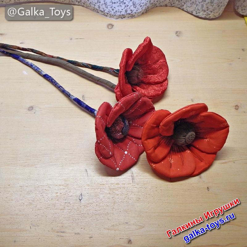 цветок с толстым стеблем