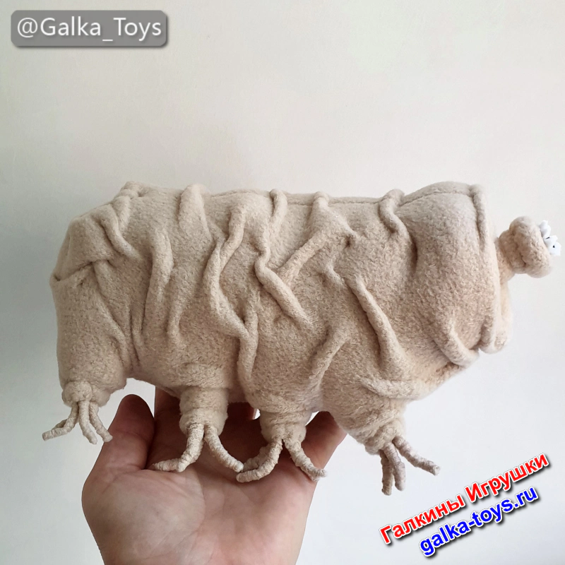 Тихоходка подарок учителю биологии