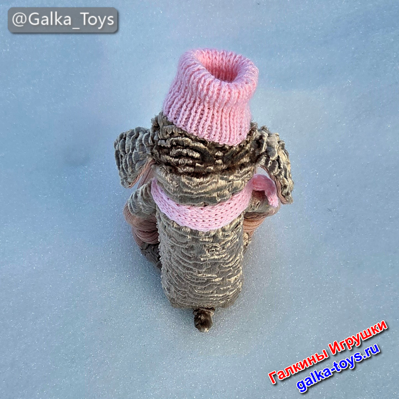 овечка в шапке