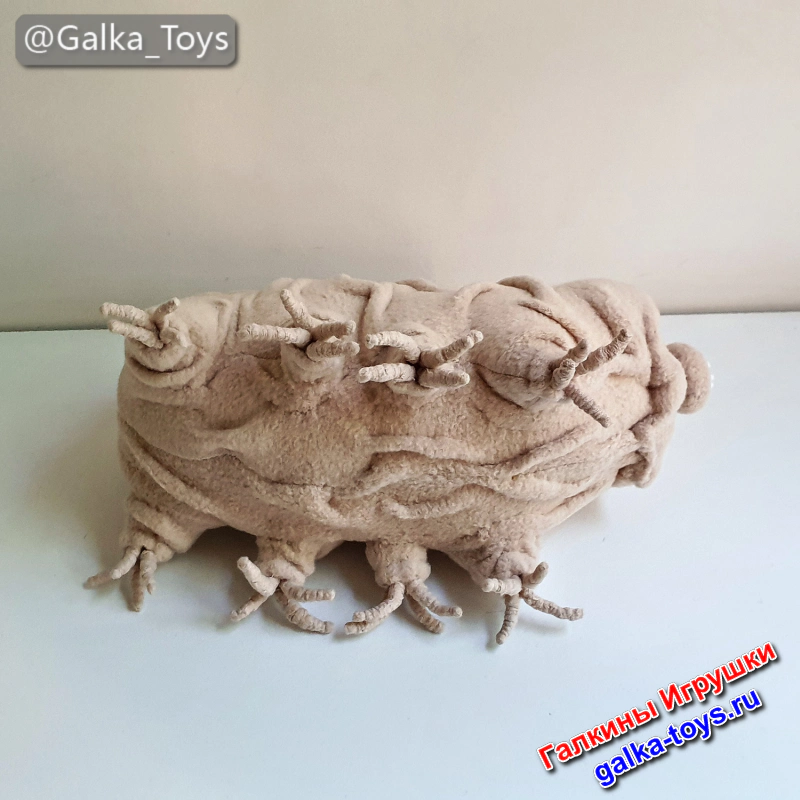 тихоходка игрушка