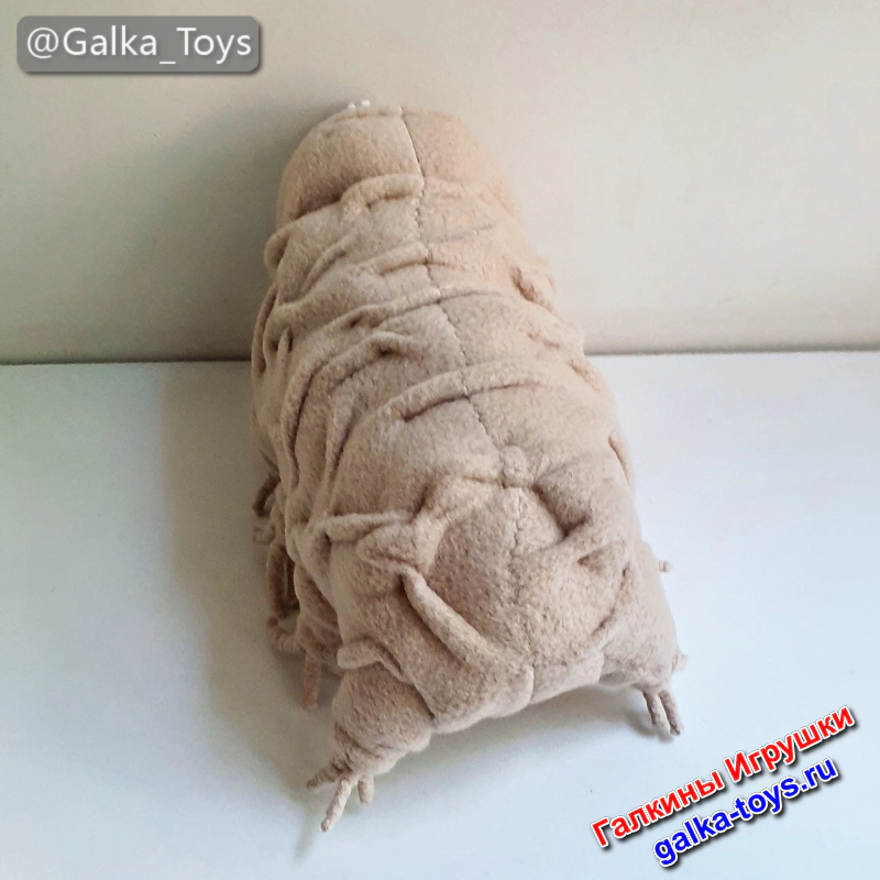 Тихоходка подарок для биолога